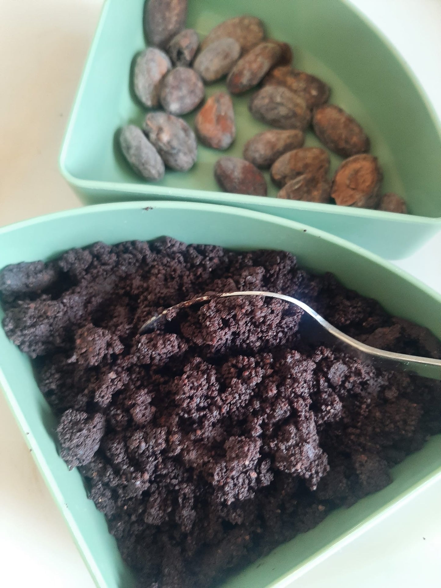 Fèves de Cacao Bio de Goma 100g